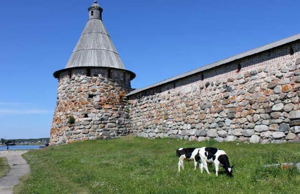 Прядильная башня