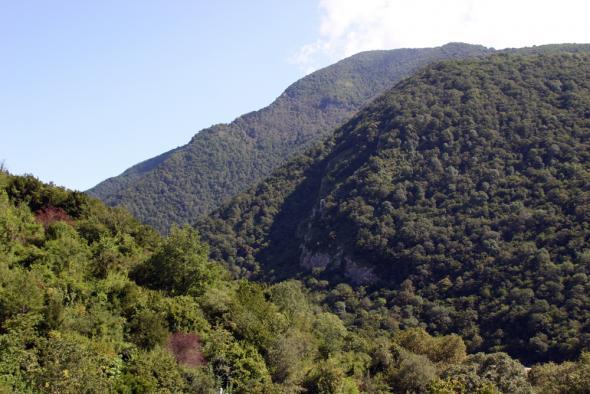 окрестности Бзыбской крепости