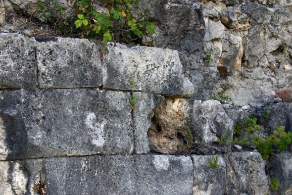 окрестности Бзыбской крепости