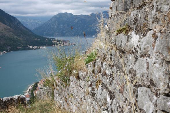 остатки стены